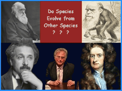Do Species Evolve from Other Species, From ImagesAttr