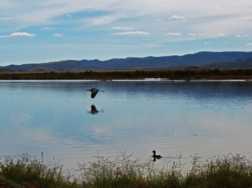 Balmorhea Lake, From ImagesAttr