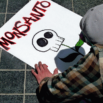 protesting monsanto in san francisco, From FlickrPhotos