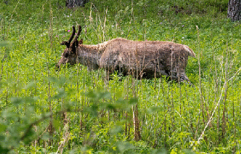 Finland, From FlickrPhotos