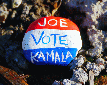 Vote for Joe Biden & Kamala Harris, From CreativeCommonsPhoto