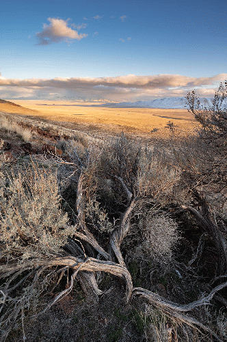 Thacker Pass, Nevada, From Uploaded