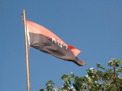 The 26th of July Movement Flag (1998),