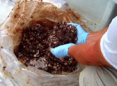 Image uploaded from a quicklink, From Images