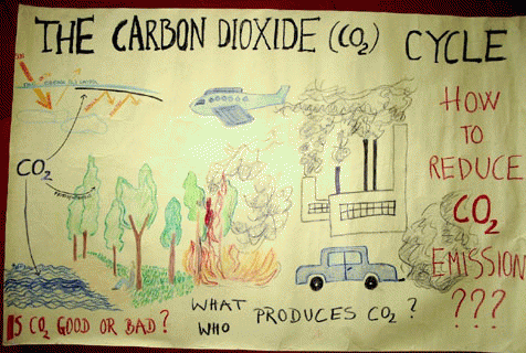 The CO2 Cycle