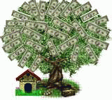 The Money Tree