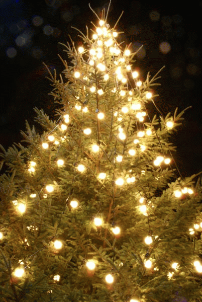 Christmas tree