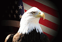 eagle, From ImagesAttr