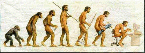 Evolution, From ImagesAttr