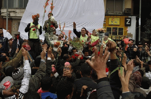 Flowers in Egypt