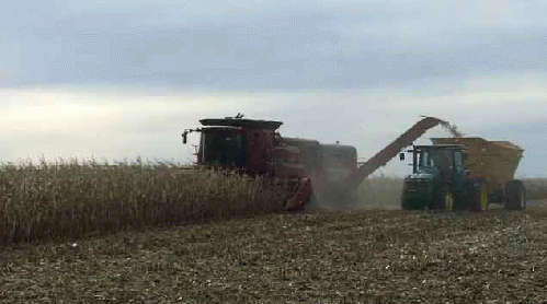 Corn for Ethanol