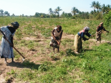 Clearing of forests for agriculture is one of the drivers of climate change.