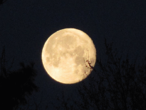 Libra Full Moon