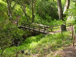 River Habitat