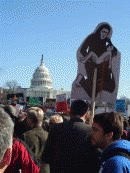 D.C. Protest, From ImagesAttr