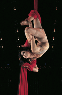 Red Silk Contortionist (detail)