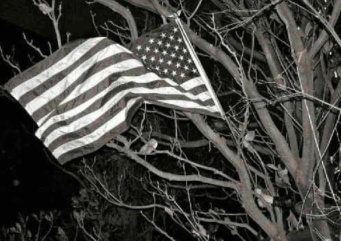 Only the OKC 'Old Glory' Banner remains after the occupiers are driven out