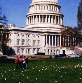 Flag labyrinth on the Capitol Lawn, 2001