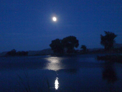 Moonlit Lake, From ImagesAttr