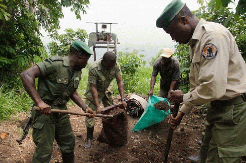 Sandbags to Protect Conservation Rangers