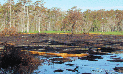 Sinkhole site, 09/10/12