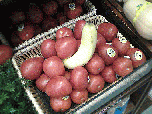 Bananomoto