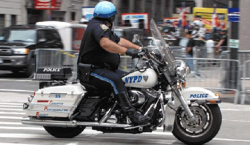 One of NYC's Fattest protects Wall Streets Fat Cats from Occupiers