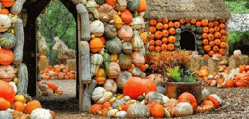 Pumpkins