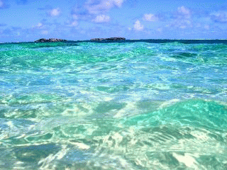 Tropical Waters