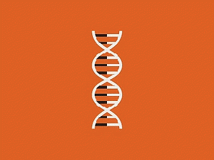Dribbble - DNA by Linda Eliasen - Designspiration - Popular, From ImagesAttr