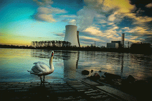 The swan in front of a nuclear power station