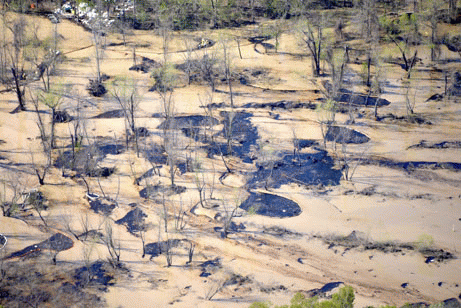 Is this Arkansas in Spring, or a desert wasteland?