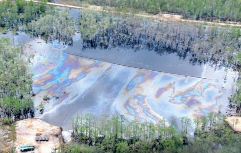 Oil on the surface of the sinkhole