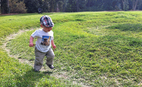 17-month-old Judah romps in Alex Champion's labyrinth at Huntington Gardens.