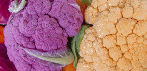 Purple and yellow cauliflower, From ImagesAttr