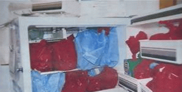 Evidence showing aborted fetuses, bagged, in a freezer
