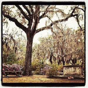 Midnight in the garden of good & evil. #Savannah #cemetery #Georgia #crypt