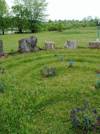 Divine Masculine labyrinth (Stumphenge) designed by Meryl Ann Butler (detail)