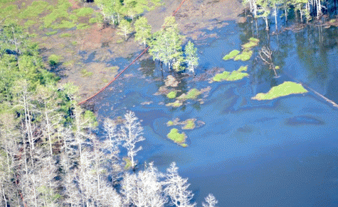 Bayou Corne Sinkhole by On Wings of Care