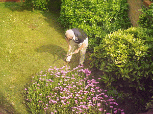 Gardening