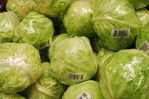 Cabbage, From ImagesAttr