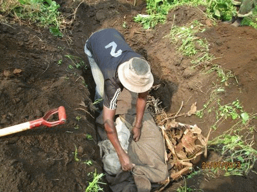 Burial of Body Parts in Face's Village, From ImagesAttr