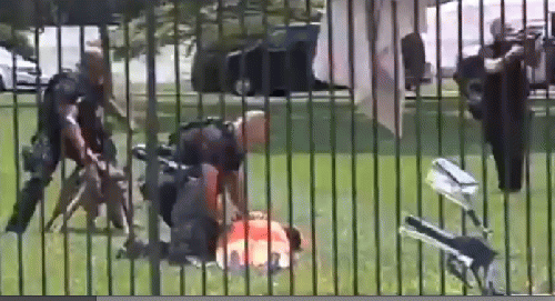 Hunger striker DIane Wilson after climbing White House fence, with police dog on one side and automatic rifle wielding policeman on other