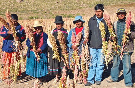 Quinoa Farmers in the Andes