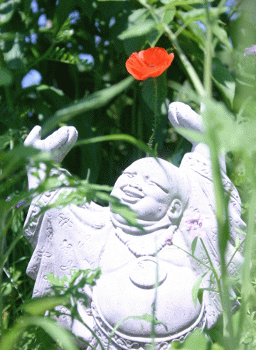 The Buddha with a red flower