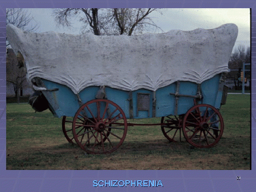Obsolescence is common to schizophrenia and a covered wagon., From ImagesAttr