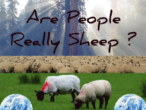 Are People Really Sheep?