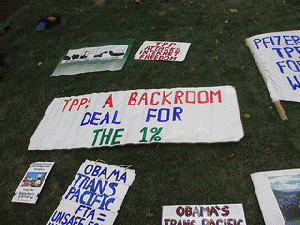 TPP Leesburg Rally