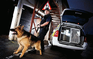 a police dog, but not one from this article, From ImagesAttr