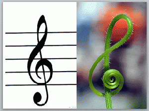 Nature knows the secret of music....